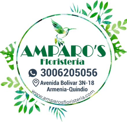 Amparo's Floristería